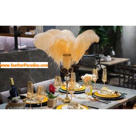 Peach Ostrich Feathers 12-14 inches 12 Pieces