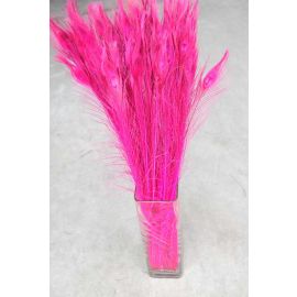 Bleached and Dyed Peacock Eye Feathers 30-35" 12 Pieces - Hot Pink