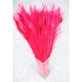 Bleached and Dyed Peacock Eye Feathers 30-35" 12 Pieces - Red
