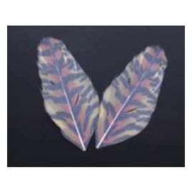 Printed Feather for Earrings, Crafts and DIY 2pcs per bag 2