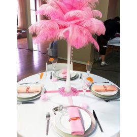 Baby Pink/Candy Pink Ostrich Feather Centerpieces/Feather Plume Palm Tree 6 Sets