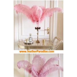 Blush Pink Wedding Ostrich Feather 12-14 inches 12 pcs