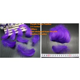 500 Pieces Packed Loose Goose Nagorie  Feather  Feather Fillers Feather Confetti Purple