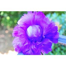 Purple 6 inch Rose Ball/Ornaments/Feather Flower/Kissing Ball/ Pompoms 1 Piece