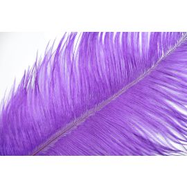 Purple Ostrich Plume 14-16 inch 12 Pieces