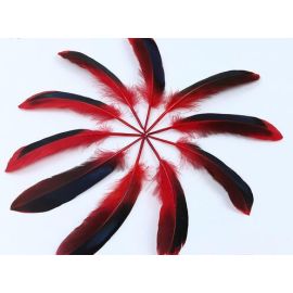 Duck Cosse Feathers Dyed Wild Duck Feathers 100pcs Red