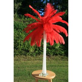 Red Ostrich Feather Centerpieces/Feather Plume Palm Tree 6 Sets