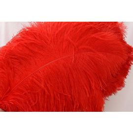 Red Ostrich Plume 16-18 inch 5 Pieces