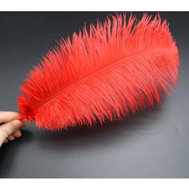 Red Ostrich Feathers 6-8 inch 12 Pieces