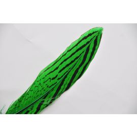 Silver Pheasant Tail 18-20 inch Green 12 Pieces