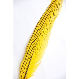 Silver Pheasant Tail Yellow 18-20 inch 12 Pieces