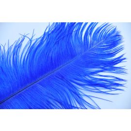 Sale!!! Blue/Royal Blue Ostrich Feathers 6-8 inch 100 Pieces
