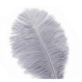 Gray Ostrich Feathers 8-10 inch 100 Pieces