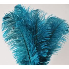 Teal Ostrich Feathers 18-20 inch 12 Pieces
