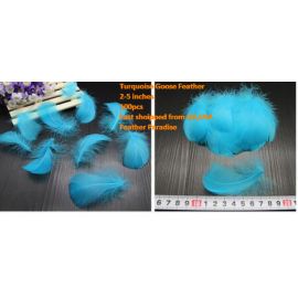 100 Pieces Packed Goose Nagorie Feathers Loose Feather  Feather Fillers Feather Confetti Turquoise
