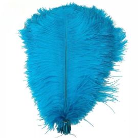 Turquoise Ostrich Feathers 14-16 inch 12 Pieces