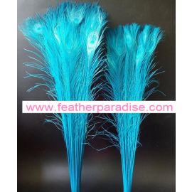 Bleached and Dyed Peacock Eye Feathers 40-45" 12 Pieces - Turquoise