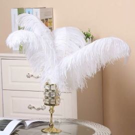 White Ostrich Feathers Male Ostrich Wing Plumes Large Ostrich  24-26 inch 50 Pieces