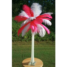 Ostrich Feather Centerpieces/Feather Plume Palm Tree Mixed White and Red 6 Sets