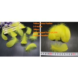 100 Pieces Packed Goose NAGOIRE Feathers Loose Feather  Feather Fillers Feather Confetti Yellow