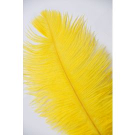 Yellow Ostrich Feathers 14-16 inch 12 Pieces