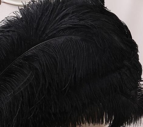 Black Ostrich Feathers/Plumes Wholesale 18-20 inch 50 Pieces For Wedding  Centerpieces and Crafts DIY Arts Events and Stage Performance Decorations