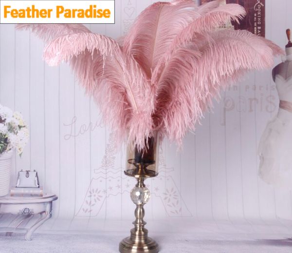 18-20 inches Blush Pink Ostrich Feather Large Male Ostrich Plume Feathers  50pcs Popular color!!!
