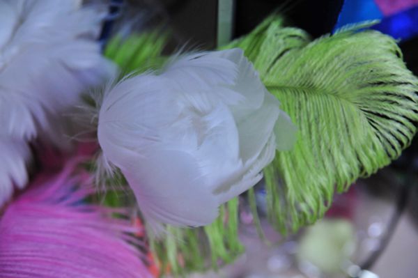 Feather Floral Picks/STEMS White 6 Pieces WHOLESALE DISCOUNT