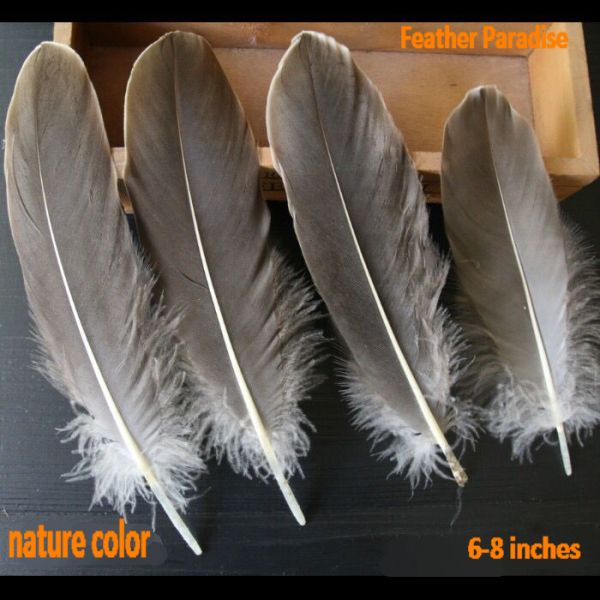 5-7 Inches Black Goose Pallet Feather Trim - 1 Yard