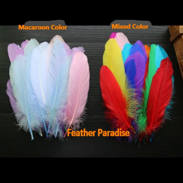 Goose Pallet Goose Loose Feathers Fancy Loose Goose Feathers 20pcs Natural  color