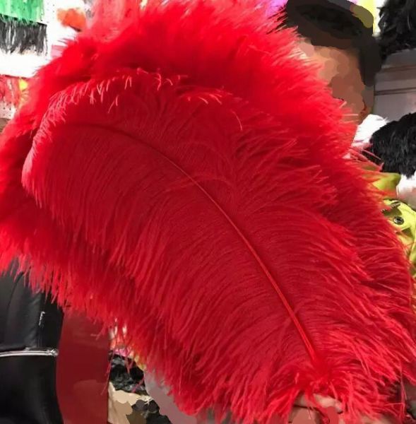 Red Ostrich Feathers PLUMES Wholesale 25-29 inch 12 Pieces Dozen Bulk  Wedding Centerpieces LARGE FEATHERS INDIAN FEATHERS OSTRICH WINGS